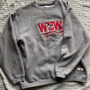 Disney World raised felt crewnevk sweatshirt